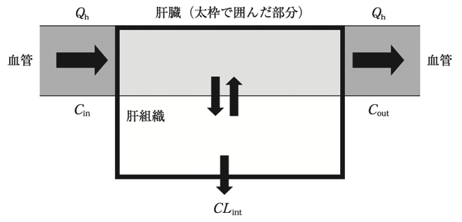 解説画像
